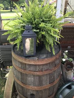 a potted plant sitting on top of a wooden barrel next to a light fixture