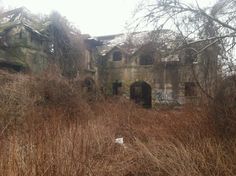 an old abandoned building in the middle of some tall brown grass and dead tree branches