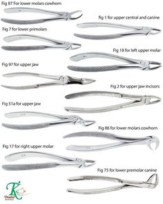 Dental Assistant Study Guide, Forceps Dental, Dental Assistant School, Dental Hygienist School, Dental Assistant Study, Dentist Assistant, Dental Hygiene Student, Dental Extraction, Dental Assistant Gifts