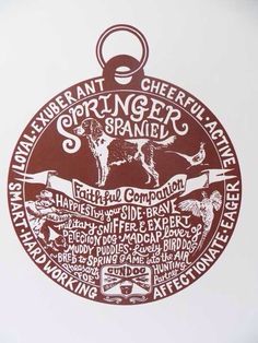 a red and white sign with words on it that say spring street spanielr