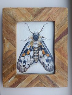 a moth painted on the side of a wooden frame