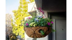 a planter hanging from the side of a building with flowers growing in it's pot