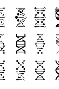 an image of some type of structure that can be used to describe different types of structures