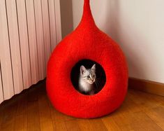 a cat sitting in a red kitty bed