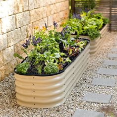 an assortment of plants are growing in a planter