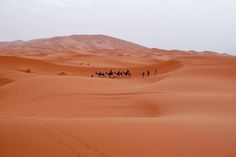 Passeio de Camelo no deserto Marrocos Coming Soon Page, Coming Soon, Natural Landmarks, Travel, Nature