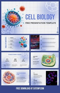 Cell Biology 13 en 2024 | Plantillas de presentación gratis, Diseño de diapositivas, Consejos de blog Powerpoint Templates Biology, Biology Presentation Template, Biology Ppt Template, Biology Powerpoint Templates, Biology Presentation Design, Power Point Design Ideas, Biology Presentation, Biology Powerpoint, Powerpoint Design Ideas