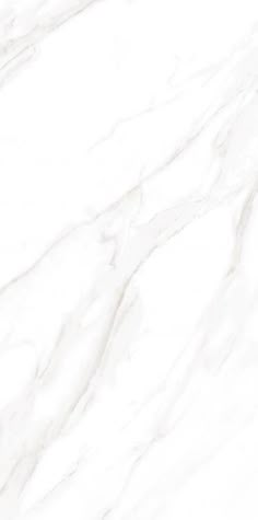 Elysium EC Calacatta Gold Matte 24x48 White Tile Texture, Flooring Texture, Statuario Marble, White Bathroom Designs, White Bathroom Tiles, White Marble Tiles, Floor Texture, Marble Tile Floor