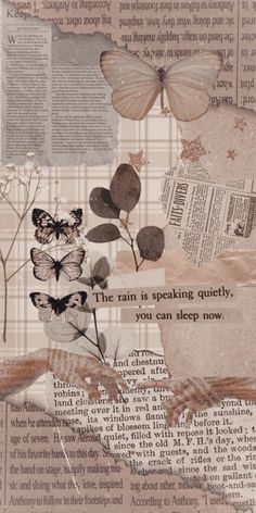 altered collage with butterflies and words