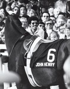 a black and white photo of a horse in front of a crowd