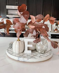 a white plate topped with a leafy plant and a number 5 on top of it