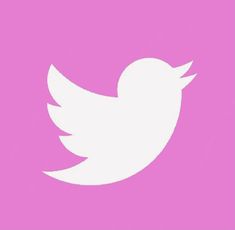 a white twitter logo on a pink background