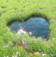 a small hole in the grass with flowers around it and water flowing out from inside