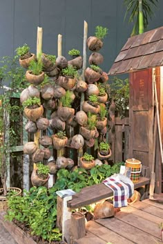 an outdoor garden with lots of potted plants on the wall and hanging planters