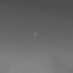 Moon in black and white Feed Ins, Cool Words, The Moon, Lotus, Celestial Bodies, Moon, Black, Nature