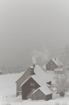 a snowy landscape with houses and trees in the foreground, on a foggy day