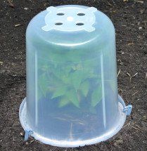 a plastic container filled with plants on top of the ground and dirt in front of it