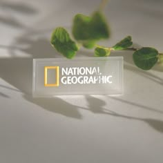 the national geographic logo is placed next to some green leaves on a white surface