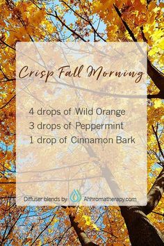 Essential Oils Guide, Fall Morning