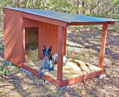 a dog is sitting in the outside of a small wooden structure that has been built into the ground