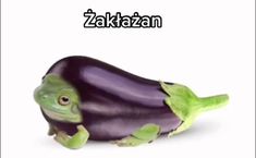 a purple eggplant with a green frog on it's back