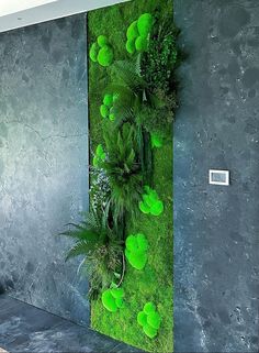 a living room with moss growing on the wall and green plants in the corner next to it