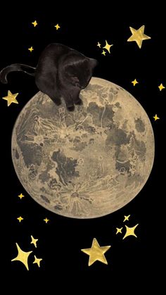 a black cat sitting on top of the moon