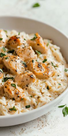 chicken and rice in a white bowl with parsley on the side, ready to be eaten