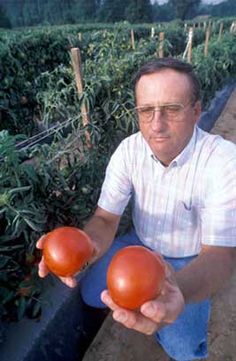 a man holding two tomatoes in his hands