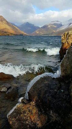 there is a bird that is sitting on the rocks by the water