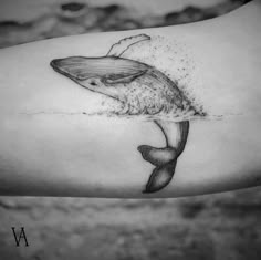 a black and white photo of a whale in the water with bubbles coming out of its mouth