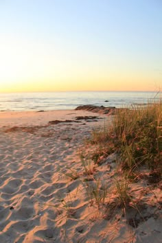 the sun is setting at the beach with grass growing out of the sand and water in the background