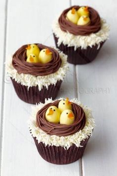 three cupcakes decorated with chocolate icing and yellow rubber ducks in a nest