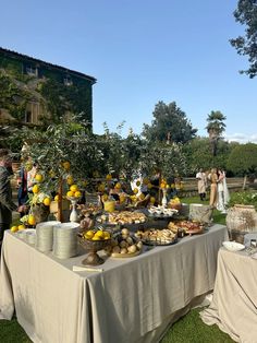 a table full of food sitting on top of a lush green field