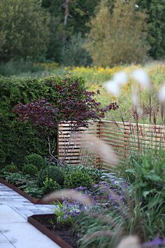 an outdoor garden with various plants and flowers