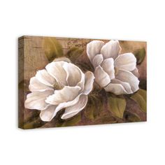 two white flowers with green leaves on a brown background canvas wall art print, ready to hang