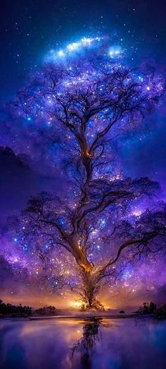 a tree that is in the middle of water with stars above it and some lights shining on