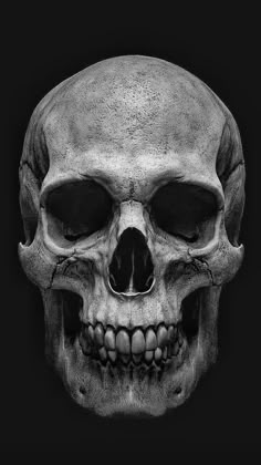 a black and white photo of a human skull on a dark background with the lower jaw visible