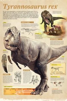 the tyransauruss and other dinosaurs are depicted in this poster