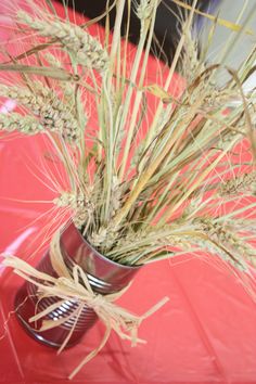 a vase filled with grass on top of a red table