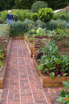 a brick pathway leads to a garden with various plants