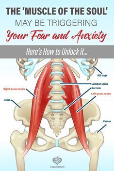 Psoas Muscle Pain, Piriformis Stretch, Trening Sztuk Walki, Lower Back Pain Exercises, Psoas Muscle, Muscle Pain Relief, Frosé, Sciatic Nerve Pain