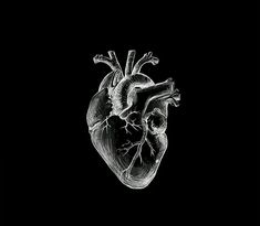 the human heart is shown in black and white