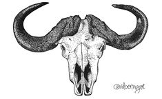 an animal skull with long horns on it's head