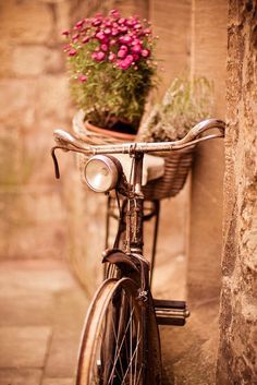 a bicycle parked next to a stone wall with flowers in the basket on the handlebars