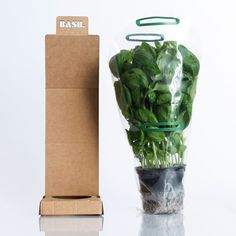 there is a bag full of spinach next to a cardboard box