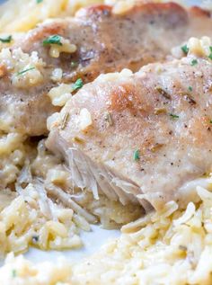 meat and rice on a plate with parsley sprinkled in gravy