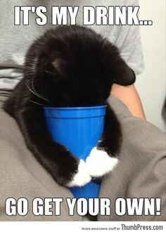 a black and white cat sitting on top of a person holding a blue cup with the caption, it's my drink go get your own