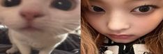 two pictures one with a cat and the other with a woman's face