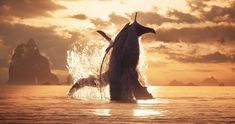 a whale jumping out of the water at sunset